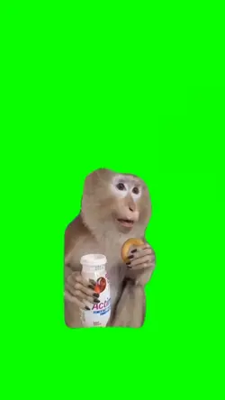 Monkey meme