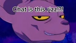 Beerus edit