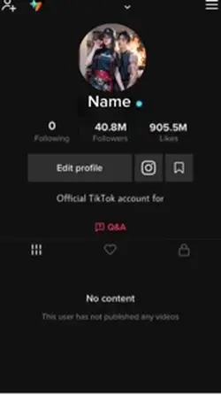 TikTok 