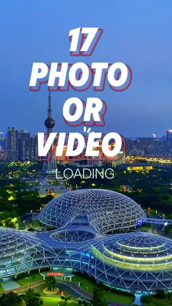 17 videos