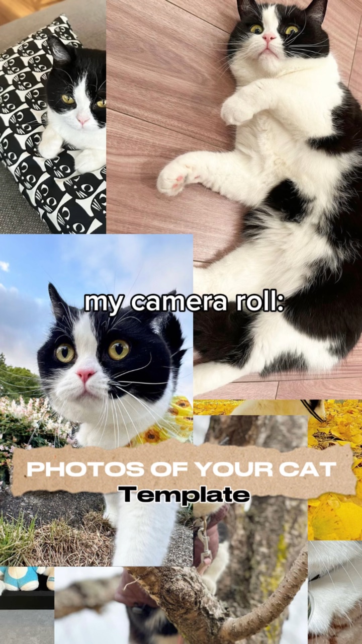 capcut template cover