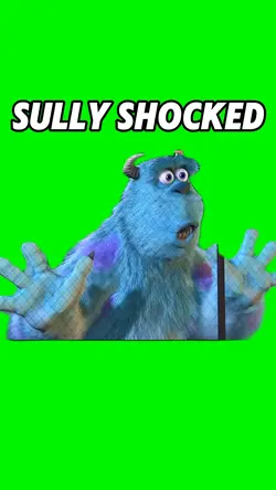 Sully Shocked