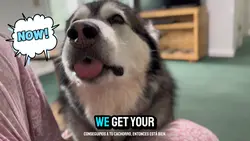 YouTube Long Form Ed