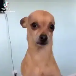 Ws
