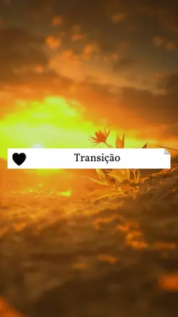 Transição 