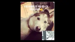 Handled his death