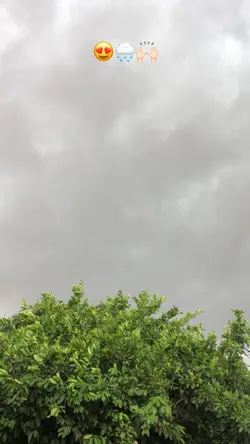 Chuva 🌵🌧️❤️