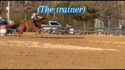 Student vs trainer