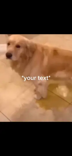 Infinite ammo🐶