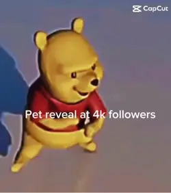 Pet reveal at 4k