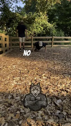 🦾🦾