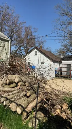 Summer Yard Cleanu
