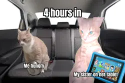 Part 2 road trip