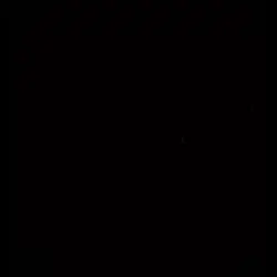 Fear