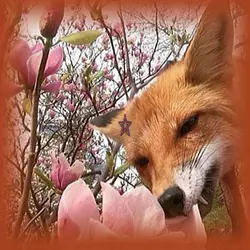 <3