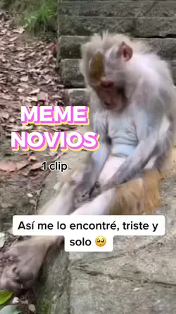 MEME NOVIO