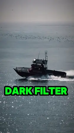 Boat edition 