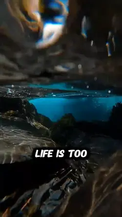 Life is short 