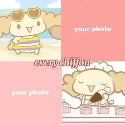 chiffon n mocha💗