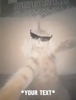 Rizz Cat