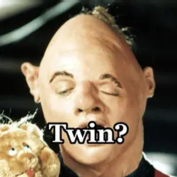 Goodies twin