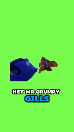 Mr Grumpy Gills