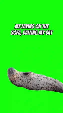 Lazy Seal Slapping