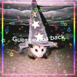 WERE SO BACK