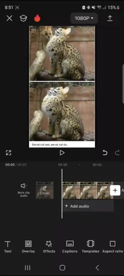 Text only rut