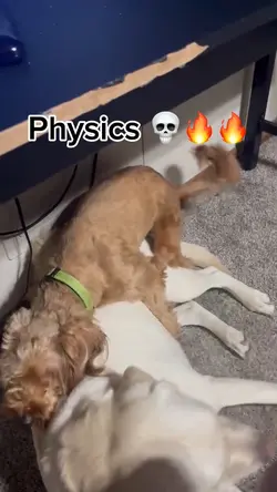 Physics💀🔥