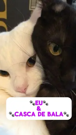Eu e Casca de Bala