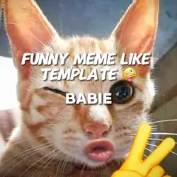 Funny meme like temp