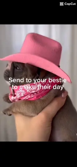 Send to bestie 