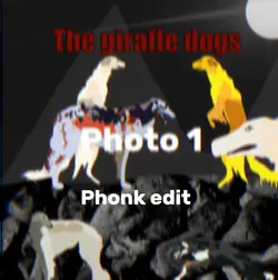 Phonk template/edit