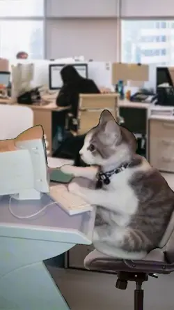 Gatinhos meme