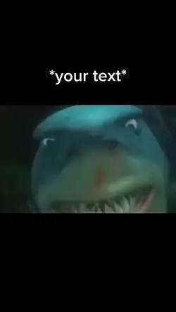 Shark meme