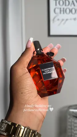 Perfume collection ✨