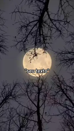 seu texto 