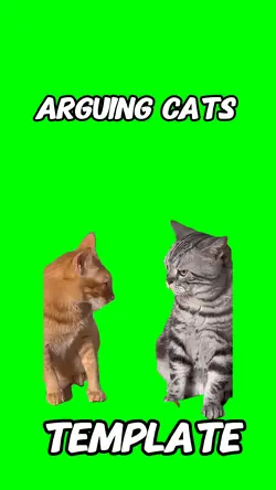 Arguing Cats 