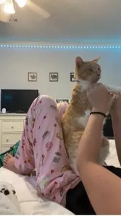 Dancing KITTYUUHH