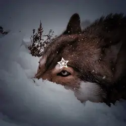 Wolfcore 