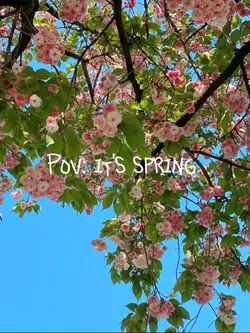 Pov: It's spring