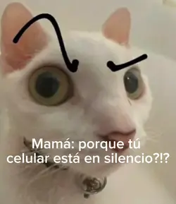 Soy jsjsjsjs
