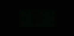 ICON ICON