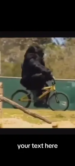 gorilla bike meme