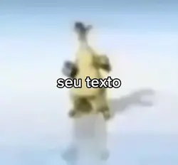Seu texto