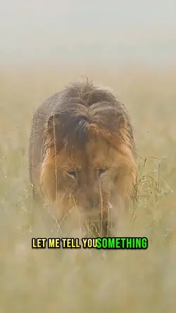 Life wisdom 