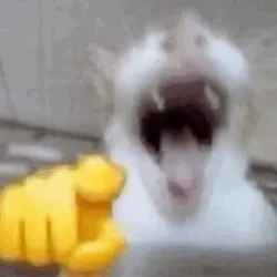 KANEKIIIIAJAPQKQLQLW