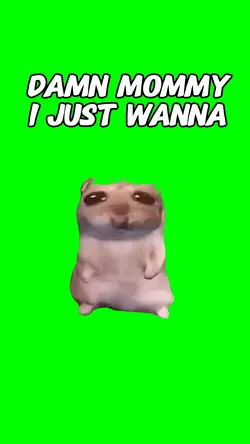 Hamste I  just wana 