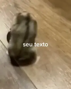 いきもの